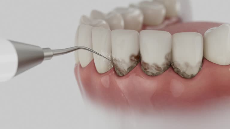 Reliable Dental contractor in Warsaw, IN by Dentist Open Now